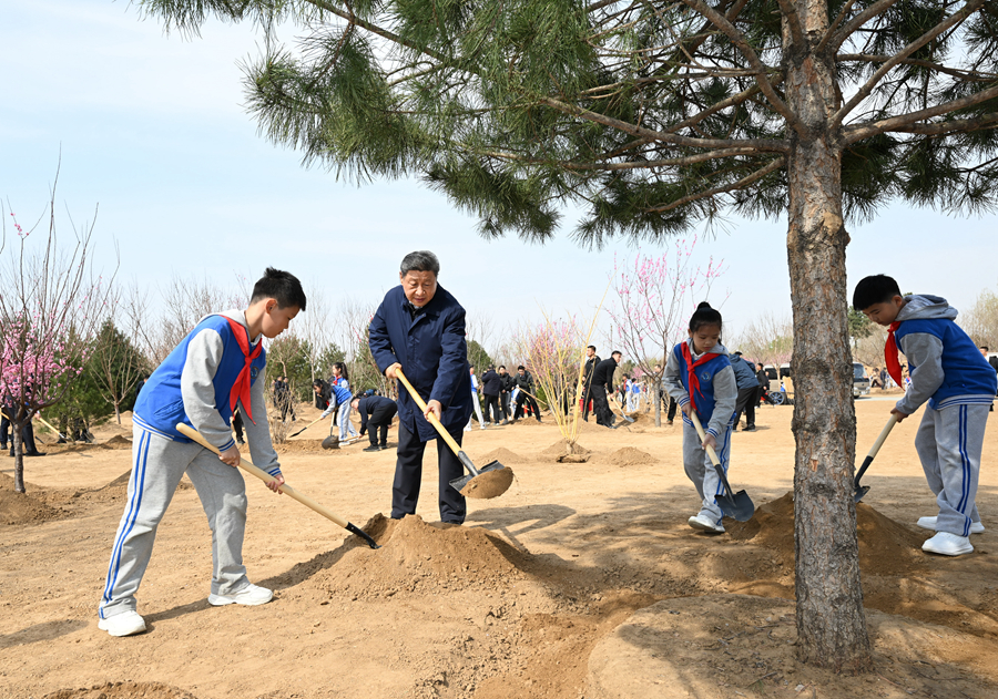 习近平：汇聚共建美丽中国磅礴力量 让祖国大地更加绿意盎然生机勃发习近平在参加首都义务植树活动时强调 汇聚共建美丽中国磅礴力量 让祖国大地更加绿意盎然生机勃发 李强赵乐际王沪宁蔡奇丁薛祥李希韩正参加    4月3日，党和国家领导人习近平、李强、赵乐际、王沪宁、蔡奇、丁薛祥、李希、韩正等来到北京市丰台区永定河畔参加首都义务植树活动。这是习近平同大家一起植树。新华社记者 谢环驰 摄   新华社北京4月3(图1)