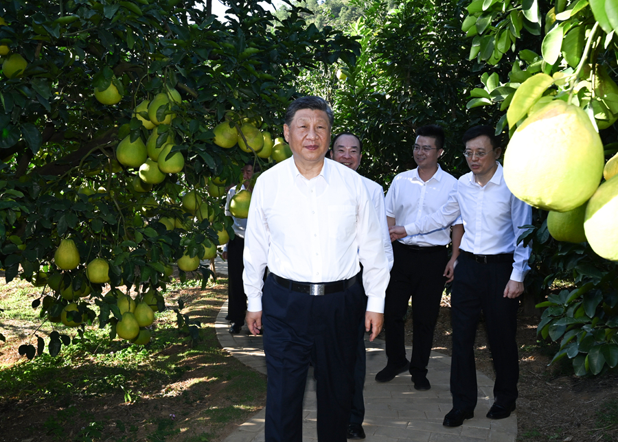 习近平在广东考察时强调 深入学习宣传贯彻党的二十届四中全会精神 以全面深化改革开放推动高质量发展(图4)