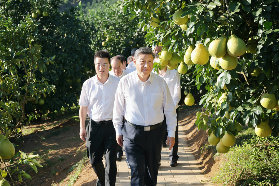 习近平在广东考察时强调 深入学习宣传贯彻党的二十届四中全会精神 以全面深化改革开放推动高质量发展(图5)
