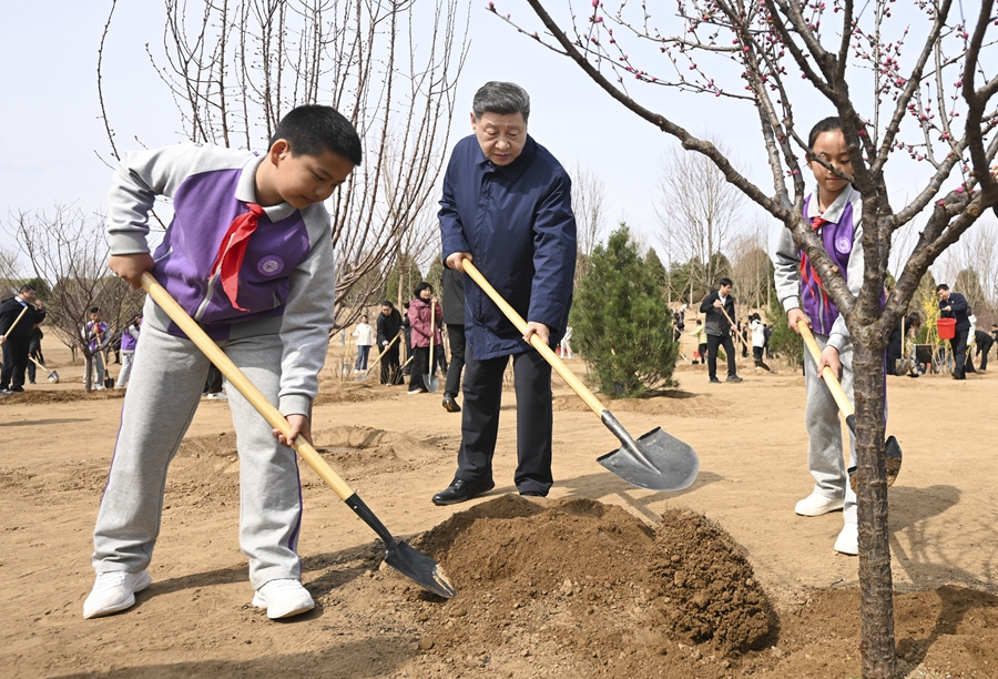 习近平在参加首都义务植树活动时强调 为山川大地增添锦绣 让中国式现代化底色更加亮丽(图3)