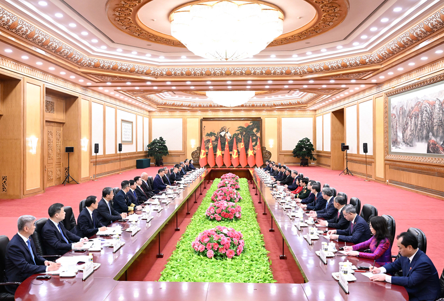 习近平同越共中央总书记、国家主席苏林举行会谈(图2)