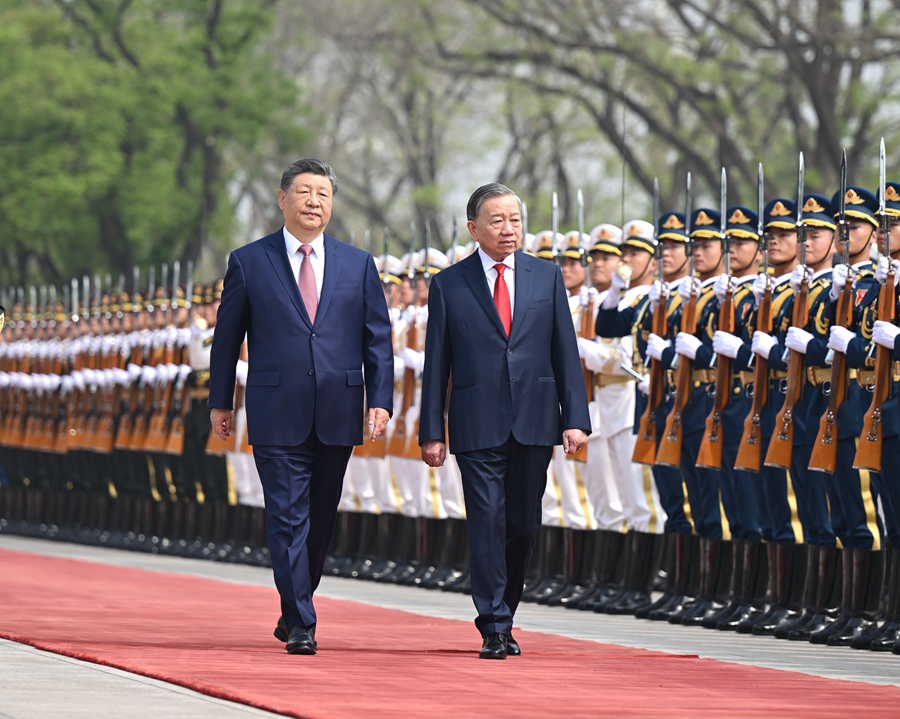 习近平同越共中央总书记、国家主席苏林举行会谈(图6)