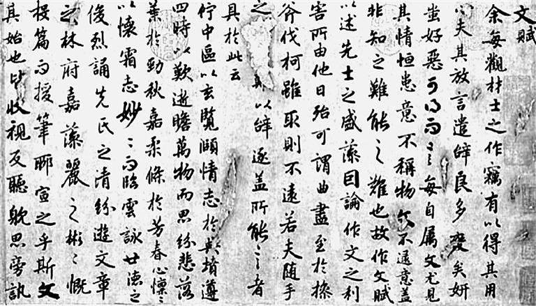 11657e28-42c9-4ffd-b6b2-527c2d4b2868.jpg