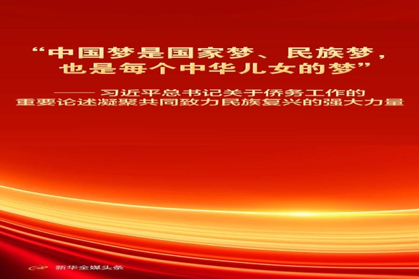 习近平总书记重要论述凝聚共同致力民族复兴强大力量