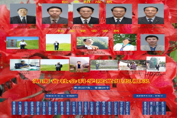组织概况